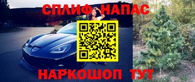 дмт Волгодонск