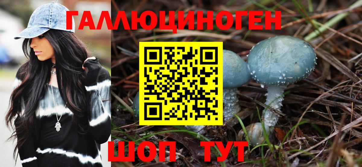 Галлюциногенные грибы мицелий  Вход с VPN  Галлюциногенные грибы прущие грибы  Ржев 
